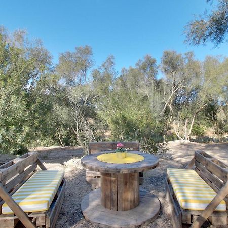 Finca S'Erissal De Costitx Dış mekan fotoğraf