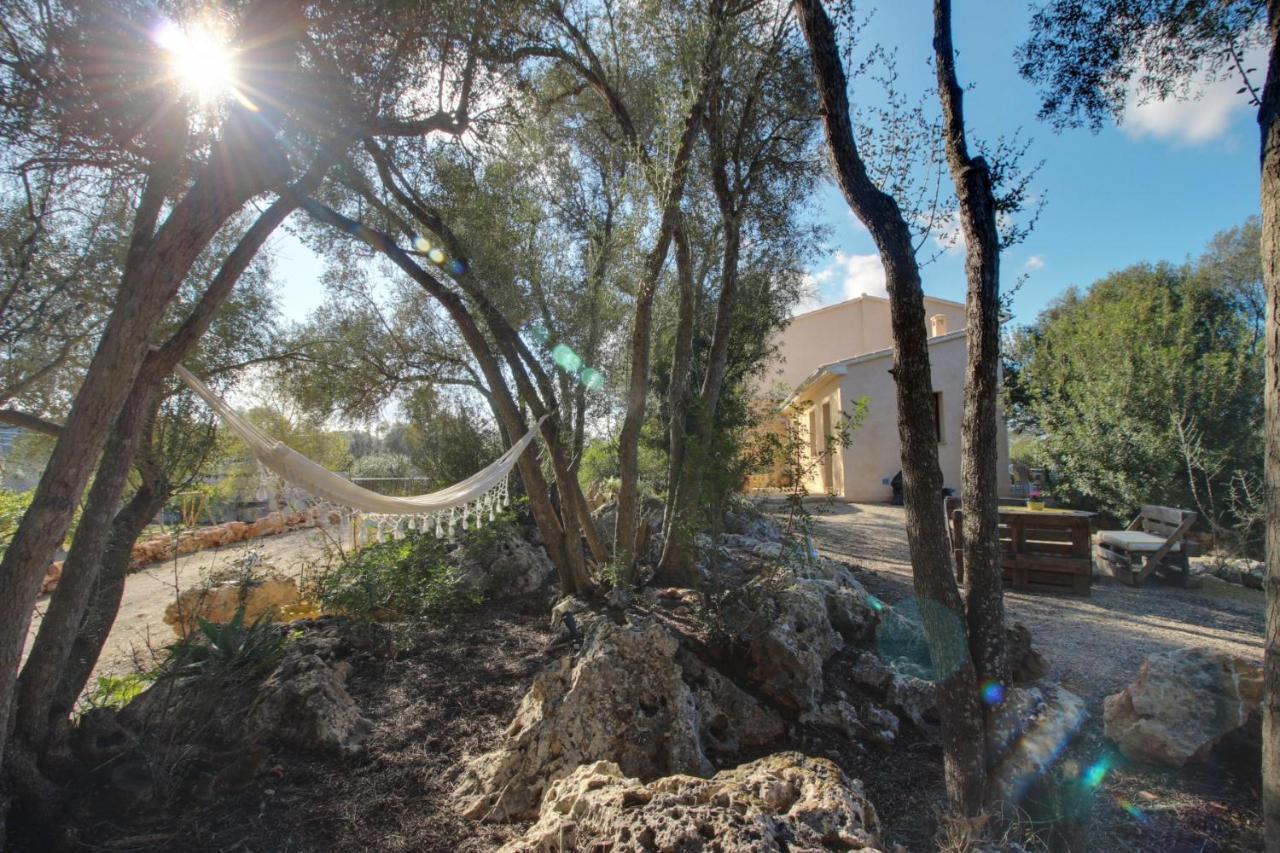 Finca S'Erissal De Costitx Dış mekan fotoğraf